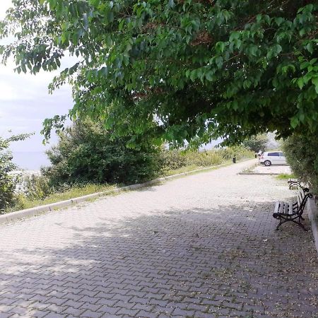 Xenia Apartament Konstanca Zewnętrze zdjęcie